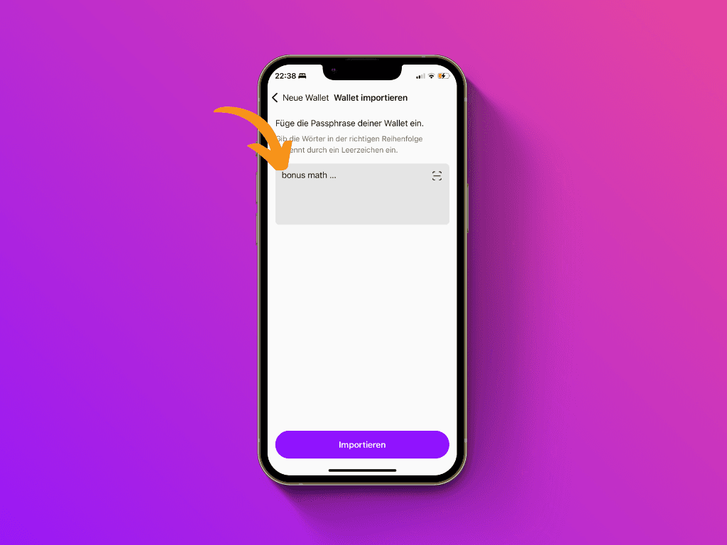 Bildschirmfoto der Pocket App beim Schritt Wallet importieren 