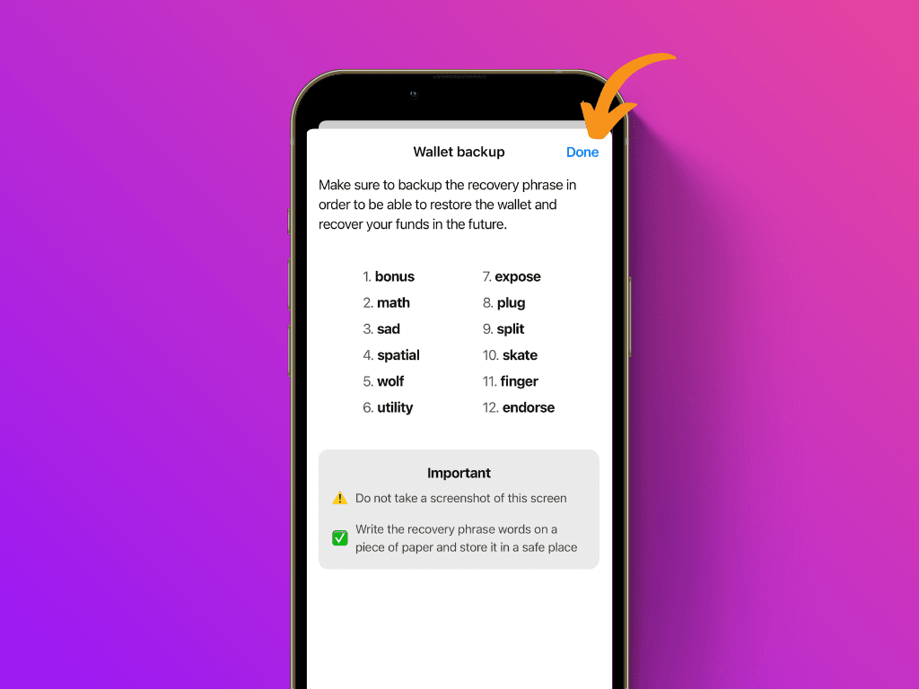 Screenshot of Bitkipi app with recovery phrase displayed