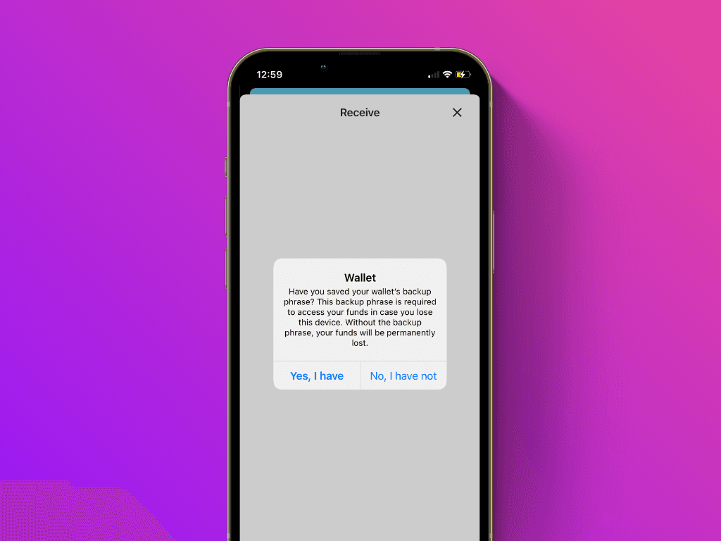 Screenshot of BlueWallet with the security message if you wrote down the recovery phrase