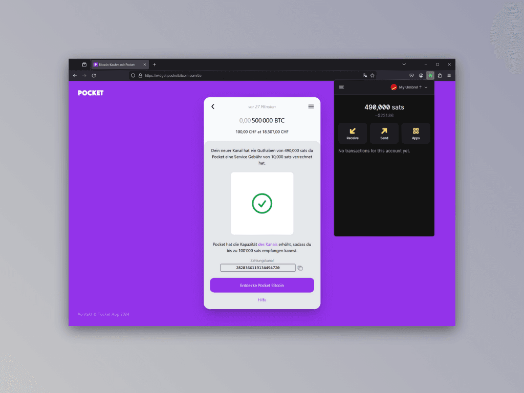 Bildschirmfoto des Auszahlungs-Screens nach erfolgreicher Bitcoin-Auszahlung