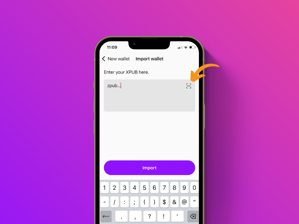 Screenshot of the Pocket App on the XPub input screen
