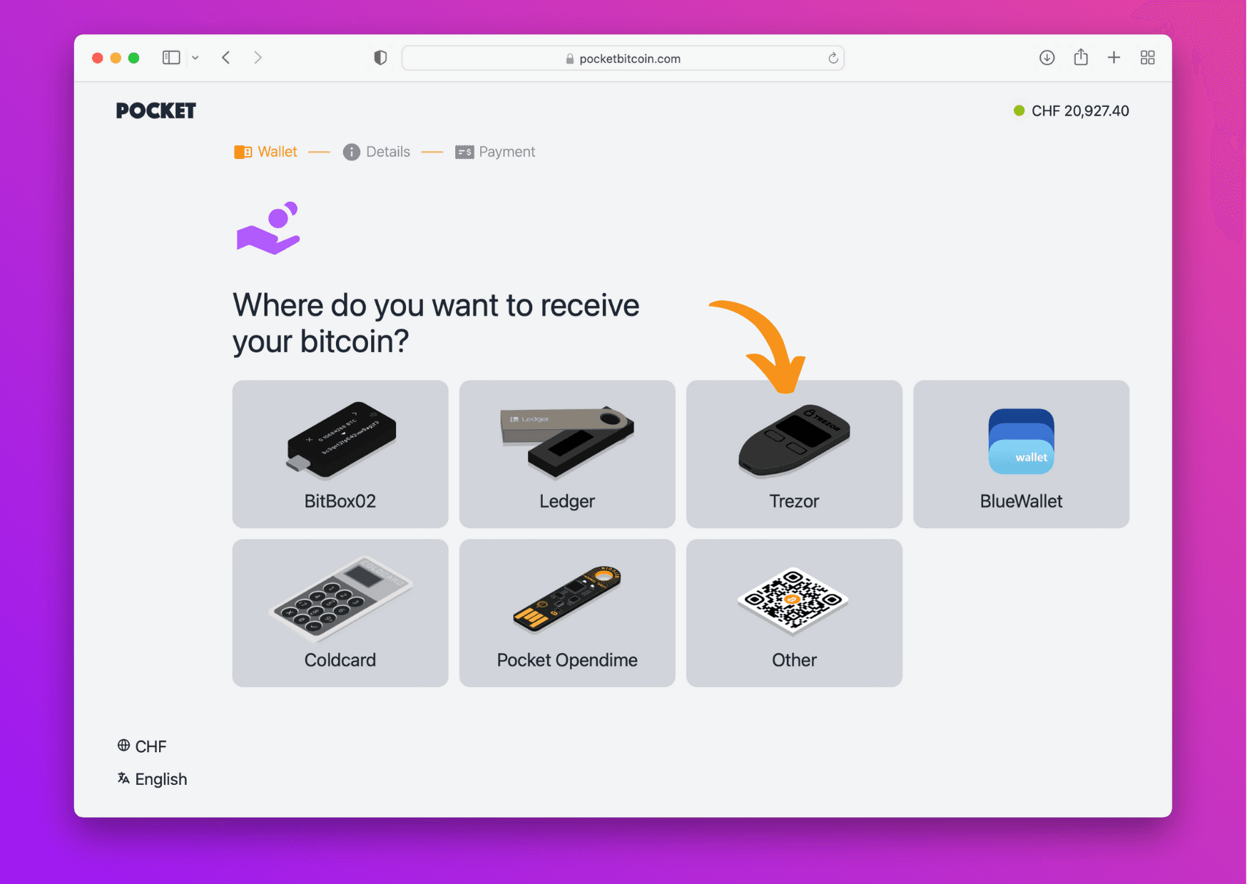 Screenshot showing Pocket website with Trezor option
