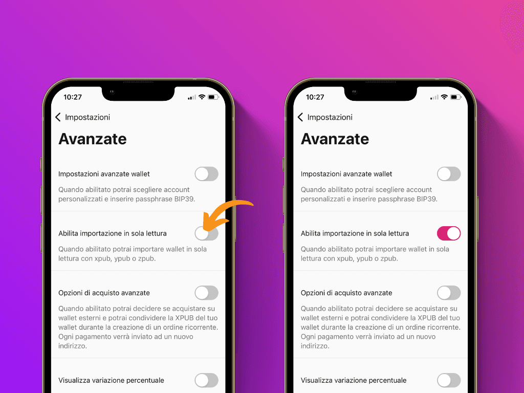 Schermata dell'app Pocket con il puntatore sull'opzione Abilita importazione in sola lettura