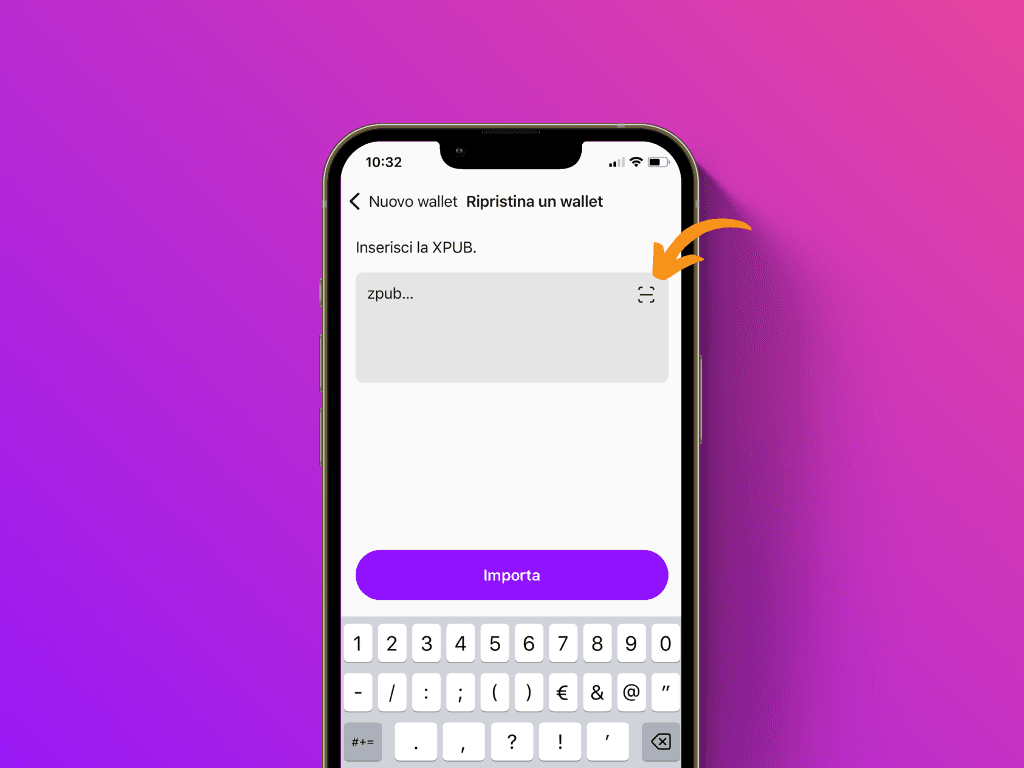 Schermata dell'App Pocket sulla schermata di inserimento dell'XPub