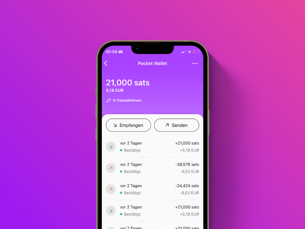 Bildschirmfoto der Pocket App mit der geöffneten wiederhergestellten Wallet