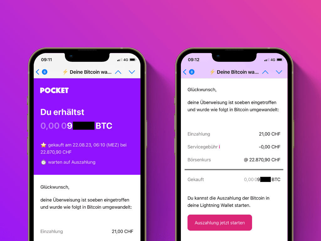 Bildschirmfoto des Auszahlungs-Emails nach der Überweisung an Pockets