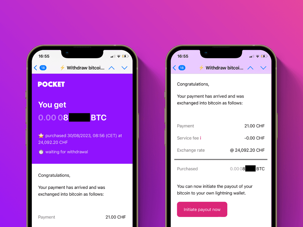 Screenshot of the payout email after the transfer to Pockets