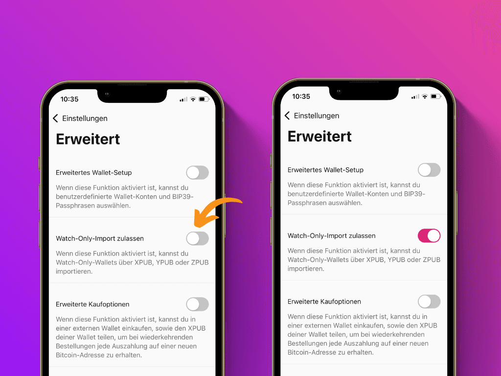 Bildschirmfoto der Pocket App mit Zeiger auf die Option Watch-Only-Import zulassen