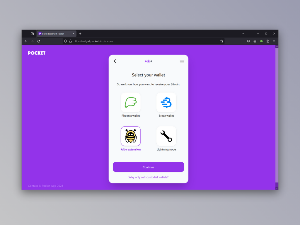 Screenshot of the wallet selection screen of Pocket's Lightning top-up service