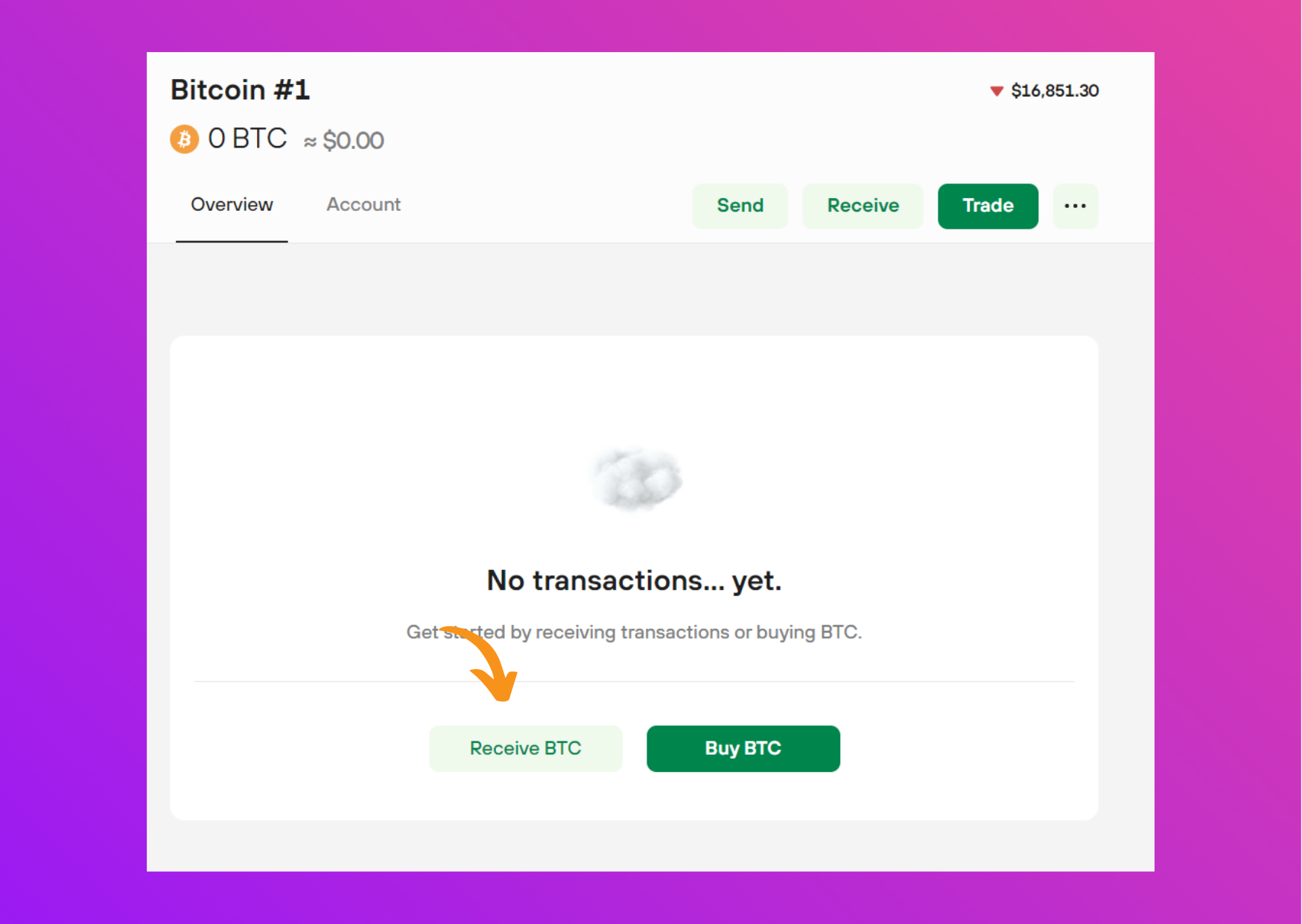 Screen capture Trezor Suite bitcoin account