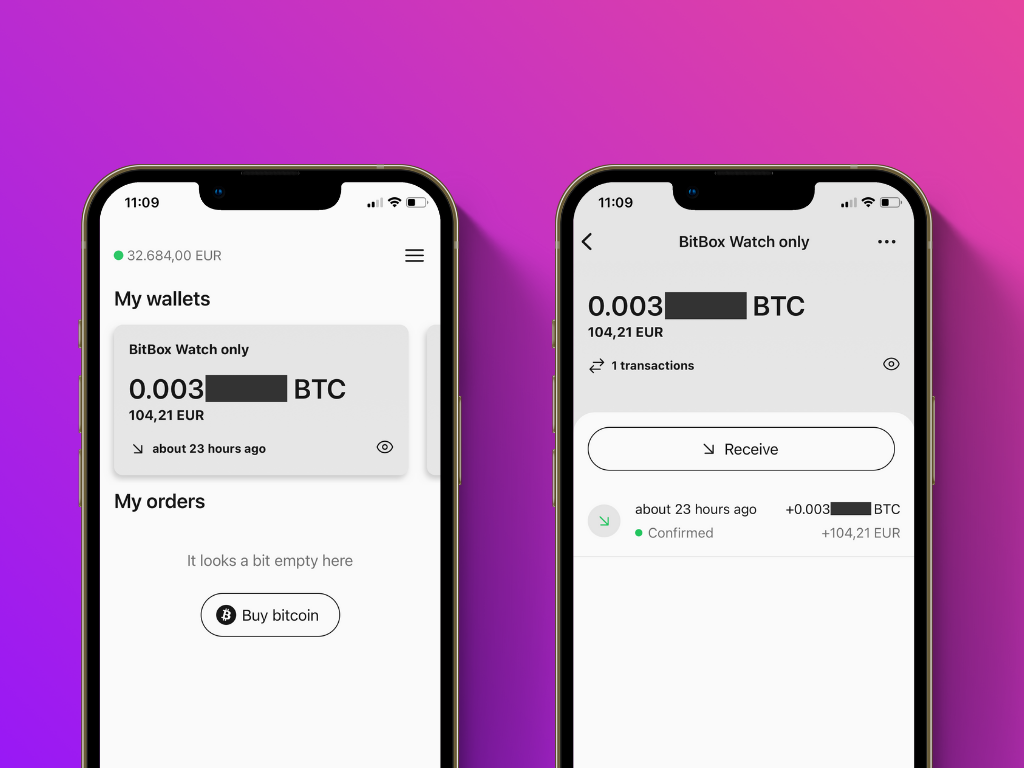 Screenshot of the Pocket App with the opened watch-only wallet